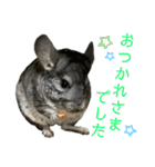 チンチラのおはぎくん まとめ1（個別スタンプ：16）