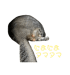 チンチラのおはぎくん まとめ1（個別スタンプ：38）