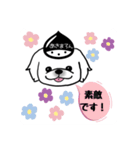 あきまろんワンコマルシェスタンプ（個別スタンプ：5）