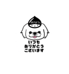 あきまろんワンコマルシェスタンプ（個別スタンプ：10）