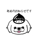 あきまろんワンコマルシェスタンプ（個別スタンプ：13）