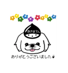 あきまろんワンコマルシェスタンプ（個別スタンプ：16）