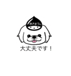 あきまろんワンコマルシェスタンプ（個別スタンプ：19）
