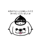 あきまろんワンコマルシェスタンプ（個別スタンプ：21）