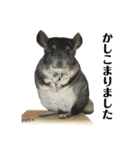 チンチラのおはぎくん まとめ2（個別スタンプ：2）