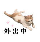 猫の言う事には（個別スタンプ：6）