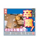 今日の結月のちゃっかり武勇伝（個別スタンプ：3）