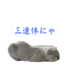 モチジョボ 仕事用1（個別スタンプ：9）