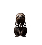 なまけもの 2 sloth（個別スタンプ：11）