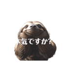 なまけもの 2 sloth（個別スタンプ：12）