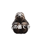 なまけもの 2 sloth（個別スタンプ：15）