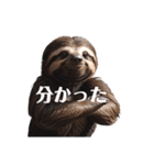 なまけもの 2 sloth（個別スタンプ：20）