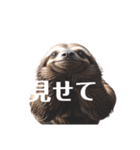 なまけもの 2 sloth（個別スタンプ：27）