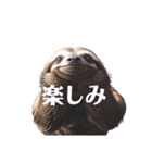 なまけもの 2 sloth（個別スタンプ：30）