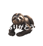 なまけもの 2 sloth（個別スタンプ：31）