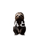 なまけもの 2 sloth（個別スタンプ：34）