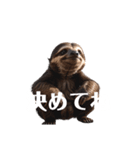 なまけもの 2 sloth（個別スタンプ：37）