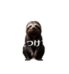 なまけもの 2 sloth（個別スタンプ：39）