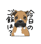 ボクサー犬のブレゴ（個別スタンプ：2）