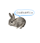 ポニョくん日常会話スタンプ（個別スタンプ：3）
