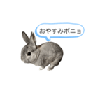 ポニョくん日常会話スタンプ（個別スタンプ：5）