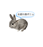 ポニョくん日常会話スタンプ（個別スタンプ：18）