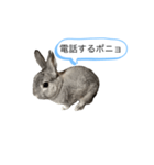ポニョくん日常会話スタンプ（個別スタンプ：22）