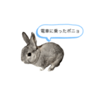 ポニョくん日常会話スタンプ（個別スタンプ：26）