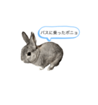 ポニョくん日常会話スタンプ（個別スタンプ：27）