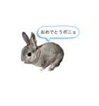 ポニョくん日常会話スタンプ（個別スタンプ：30）