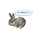 ポニョくん日常会話スタンプ（個別スタンプ：32）