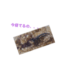 メタリフェルホソアカクワガタ(全)（個別スタンプ：12）