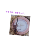 メタリフェルホソアカクワガタ(全)（個別スタンプ：13）