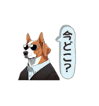 クールシュール犬（個別スタンプ：25）