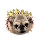 愛の詰まってるすたんぷ（個別スタンプ：5）