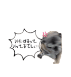 愛の詰まってるすたんぷ（個別スタンプ：12）