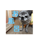 愛の詰まってるすたんぷ（個別スタンプ：14）