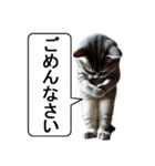 猫ならウザくても許される説【煽り性能高】（個別スタンプ：21）