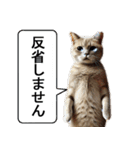 猫ならウザくても許される説【煽り性能高】（個別スタンプ：23）