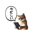 猫ならウザくても許される説【煽り性能高】（個別スタンプ：24）