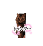 もっこりもこもこもこみちくん②（個別スタンプ：3）