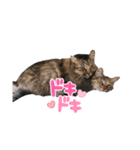 もっこりもこもこもこみちくん②（個別スタンプ：7）