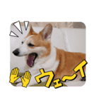 ゆめちゃん 日常☀（個別スタンプ：2）