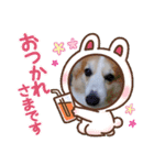 ゆめちゃん 日常☀（個別スタンプ：6）