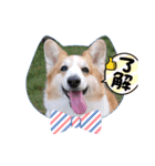 ゆめちゃん 日常☀（個別スタンプ：8）