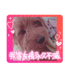 ヤンチャなラテ（個別スタンプ：1）