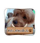 可愛いわんこさん（個別スタンプ：1）