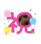 可愛いわんこさん（個別スタンプ：2）