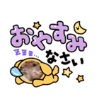 可愛いわんこさん（個別スタンプ：3）
