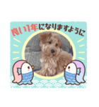 可愛いわんこさん（個別スタンプ：5）